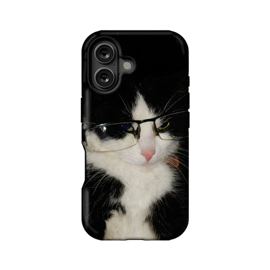 Sweet and Sultry kitty Cute Animal IPhone Phone Case