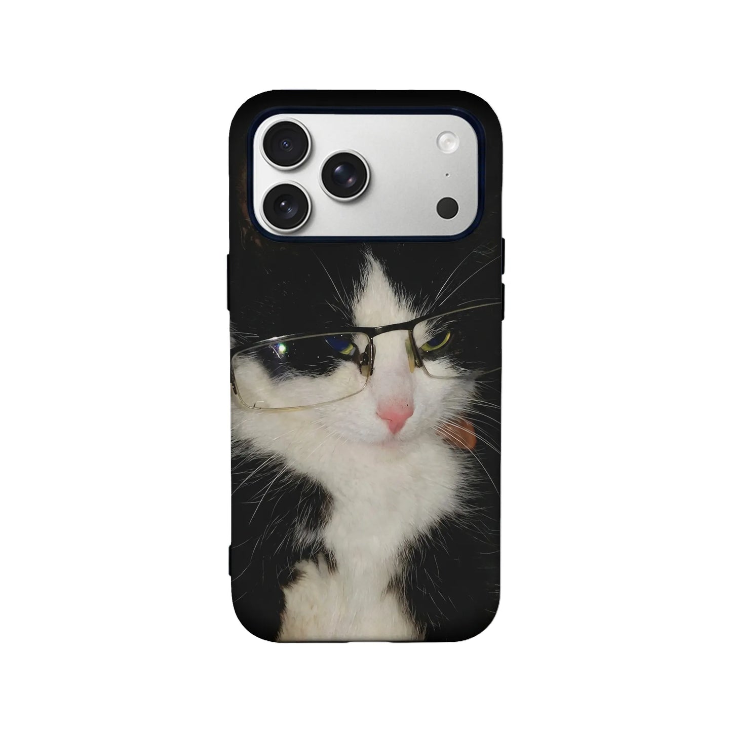 Sweet and Sultry kitty Cute Animal IPhone Phone Case
