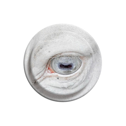 Intense White Horse Eye Close-up Phone Grip & Stand - Unique Animal Art Holder